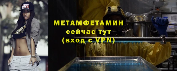 сатива Бородино