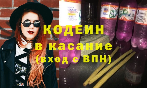 сатива Бородино