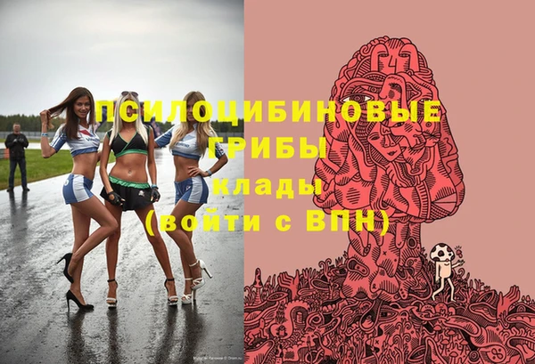 сатива Бородино