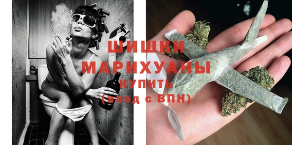 МДПВ Богородицк