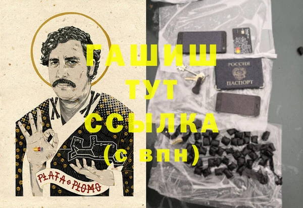 сатива Бородино
