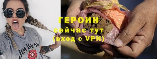 сатива Бородино